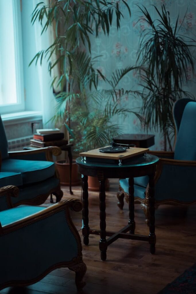 A Table with a Record Player - Vintage romance